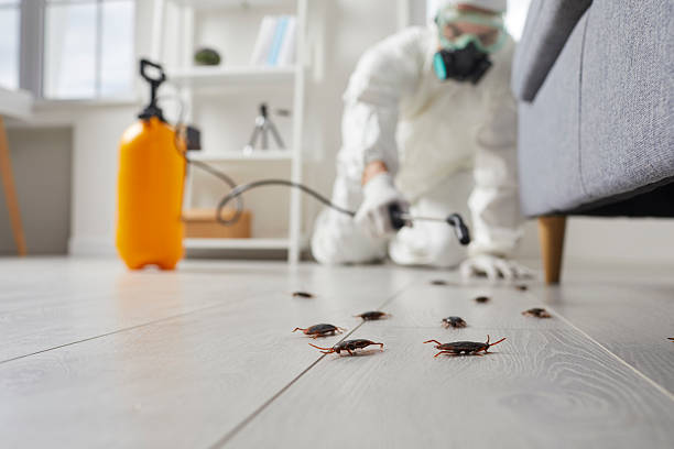 Trusted Cockroach Control service in Mineville, NY - Nex Pest Control